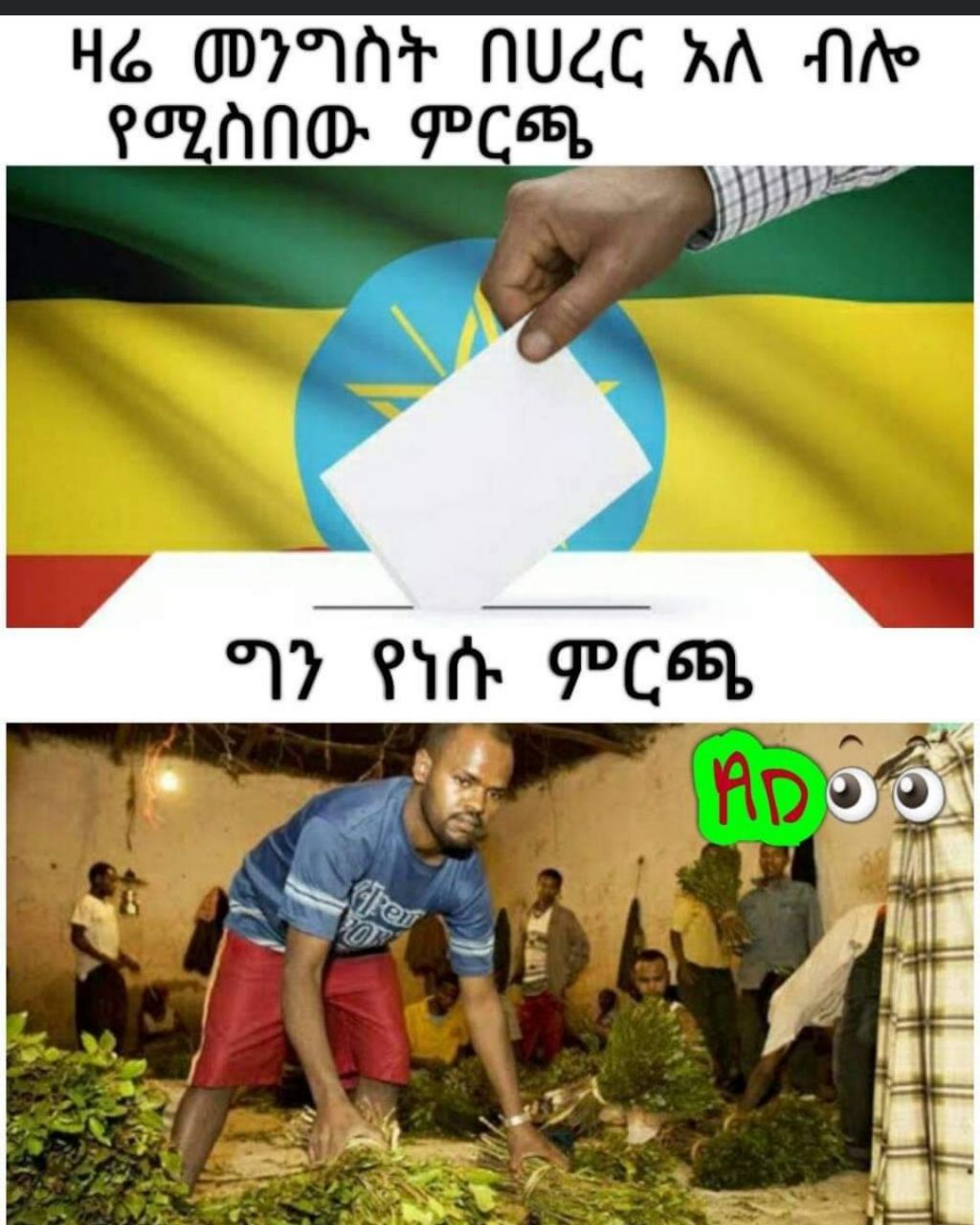 የሚስበው ምርጫ POUND: PO